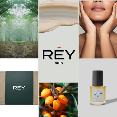 Welcome to the advanced and immersive world of REY