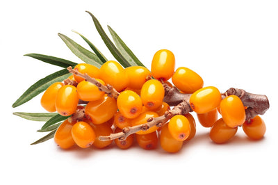 Argousier Fruit Oil - The What, Why & How To Use This Incredible Ingredient