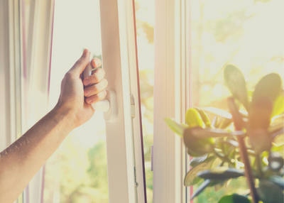 10 Tips To Help Detox Your Living Space