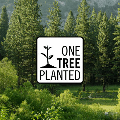 Donation of a Tree - Maison Apothecare